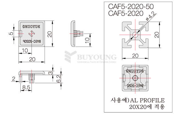 BYEC-2020P(DO).jpg