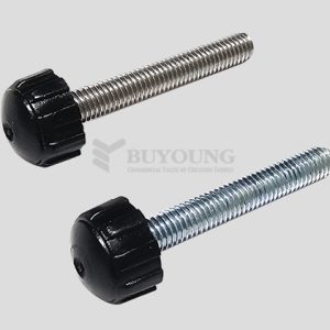 Bu lông / Đai ốc BYMS1606-BOLT-SUS / BYMS1606-BOLT-STE
