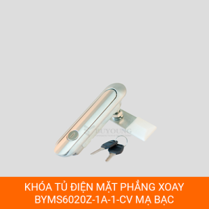 Khóa phẳng BYMS6020Z-1A-1-CV mạ bạc, khóa bấm gạt cho tủ điện công nghiệp