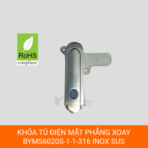 Khóa phẳng BYMS6020S-1-1-316 đánh bóng vàng, khóa bấm gạt cho tủ điện công nghiệp