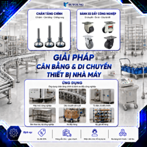 Buyoung tại các khu công nghiệp lớn miền bắc